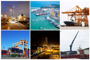 Dịch DN hoa tiêu hàng hải, lai dắt tàu biển đồng loạt giảm giá hỗ trợ DN vận tải biển Việt Nam